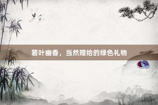箬叶幽香，当然赠给的绿色礼物