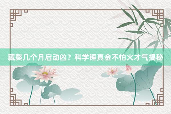 藏獒几个月启动凶?科学锤真金不怕火才气揭秘